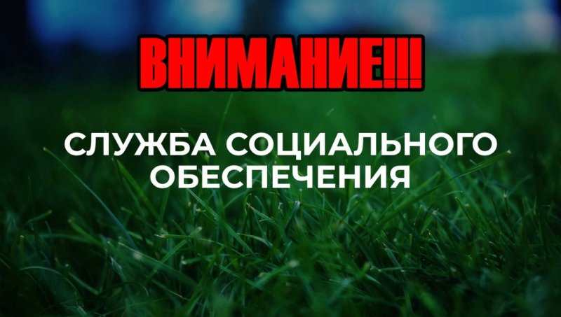 29 августа стартует подача заявок на повышенную стипендию! 