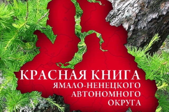 Специалисты МИИГАиК в проекте по созданию списка исчезающих видов растений и грибов арктической зоны РФ