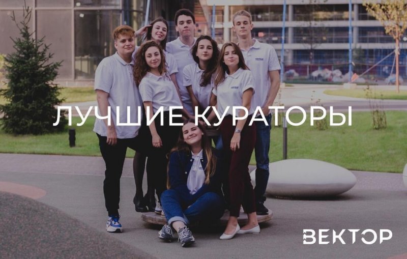 Лучшие кураторы 2019 года